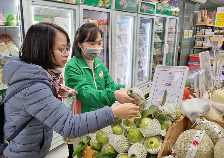 Hà Nội: Mở thêm Điểm giới thiệu và bán sản phẩm OCOP tại quận Thanh Xuân