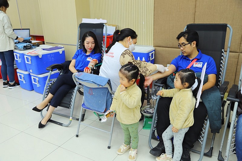 Tuần lễ hồng EVN lần thứ 8: Gần 12.000 người đăng ký tham gia hiến máu
