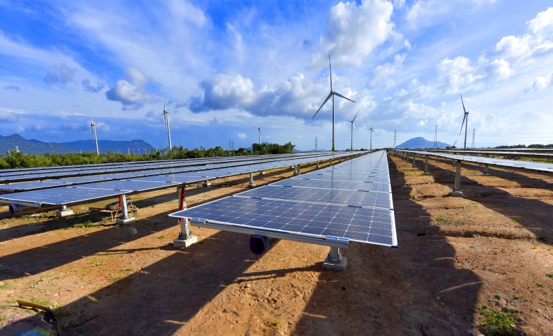 Việt Nam khuyến khích các doanh nghiệp Bỉ đầu tư vào năng lượng tái tạo, chuyển đổi số