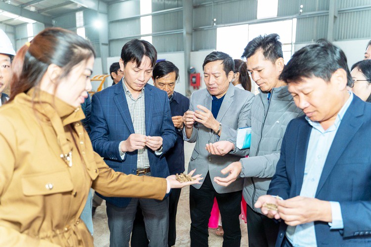 Quảng Bình: Hỗ trợ doanh nghiệp sản xuất viên gỗ nén năng lượng