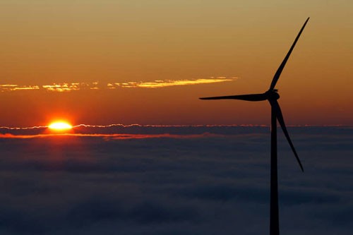 Cơ quan Năng lượng Quốc tế kỳ vọng tốc độ tăng trưởng nhanh của năng lượng tái tạo ở châu Âu