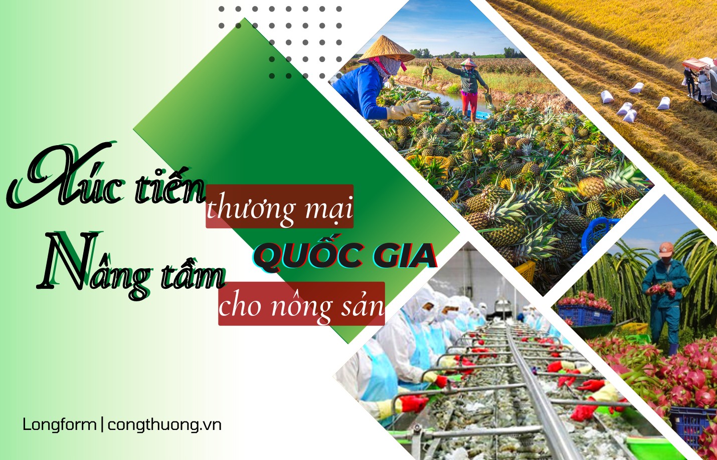 Longform | Xúc tiến thương mại quốc gia nâng tầm cho nông sản