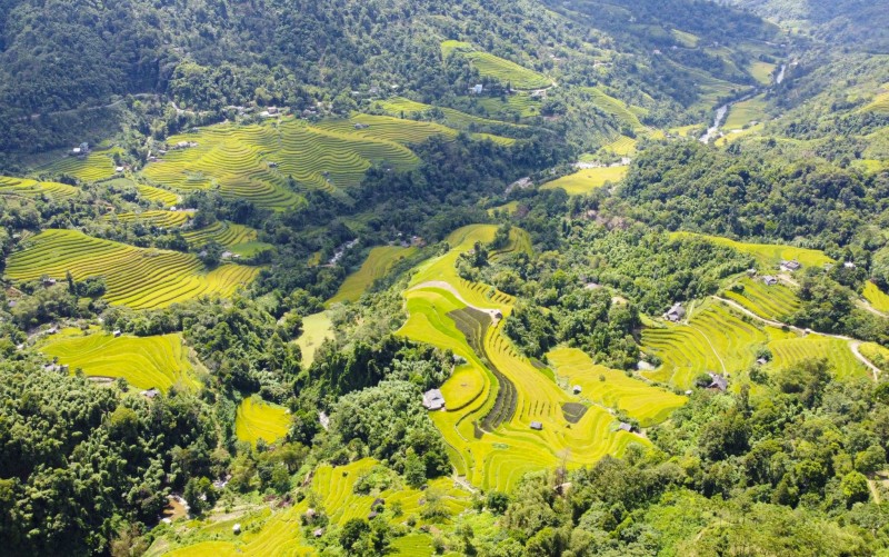 Hà Giang: Tín hiệu vui từ chính sách chi trả dịch vụ môi trường rừng