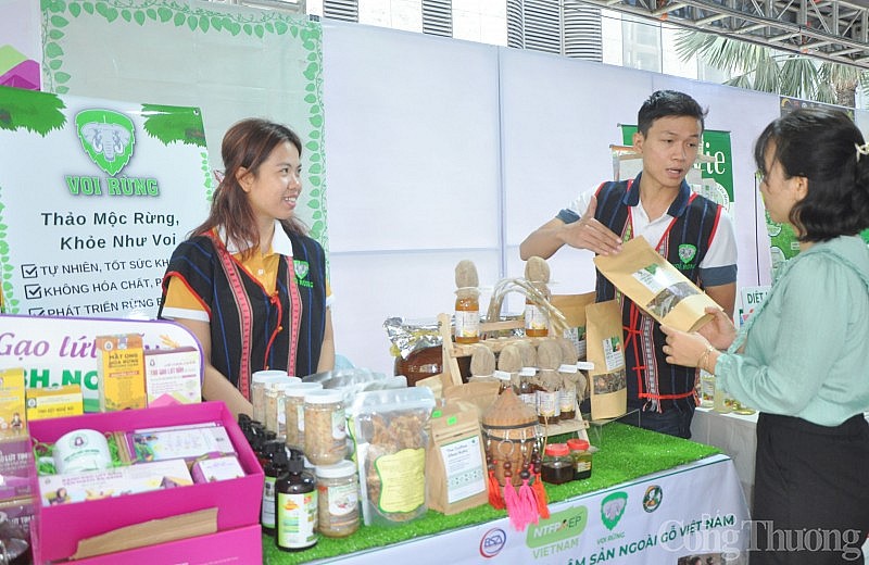 Hơn 1.000 nông đặc sản quy tụ tại Lễ hội Tết Xanh quà Việt - Xuân Quý Mão 2023