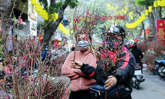 Quận Hoàng Mai (Hà Nội): Tổ chức chợ hoa Xuân Tết Nguyên đán Quý Mão 2023