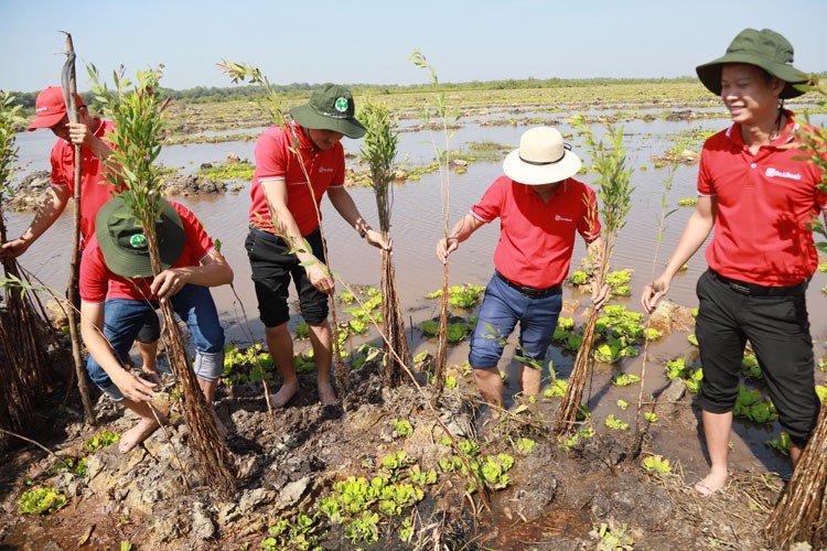 SeABank trao tặng 28.000 cây tràm cừ hỗ trợ Khu bảo tồn đất ngập nước Láng Sen
