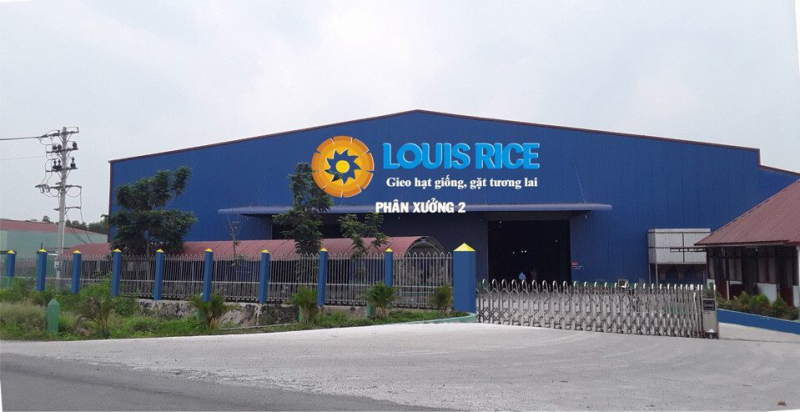 Công ty Xuất nhập khẩu Louis Rice bị ngân hàng 