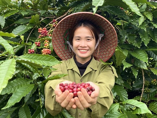 Cô nông dân 9x "triệu view Tiktok" trở thành Đại sứ Lễ hội Cà phê