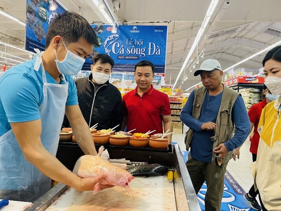 Loạt siêu thị hỗ trợ quảng bá cá sông Đà