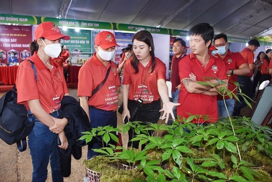 Kon Tum: Người dân Xơ Đăng trồng sâm được hưởng lợi từ Phiên chợ Sâm Ngọc linh lần thứ 2