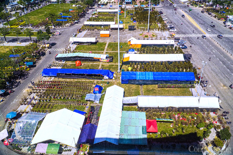 Đà Nẵng: Thị trường hoa Tết Quý Mão kém sôi động