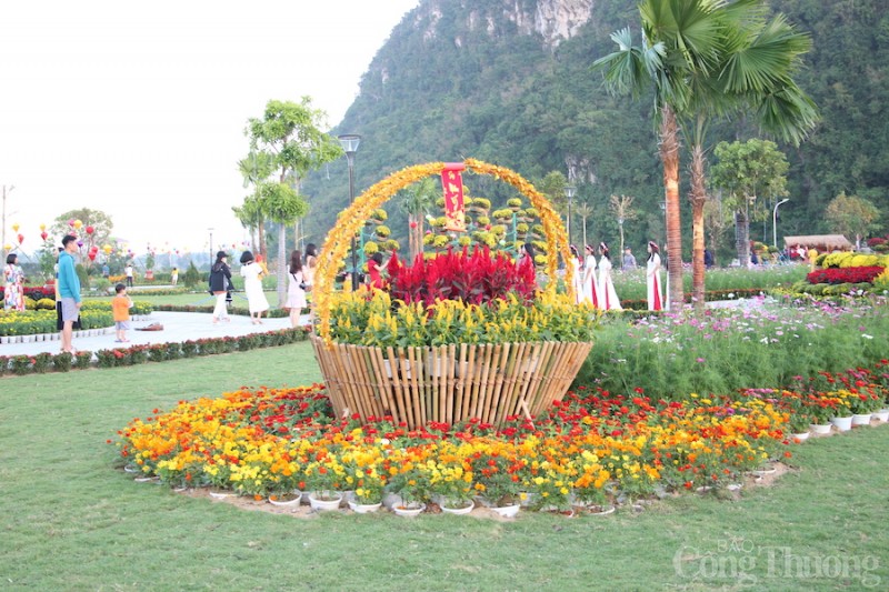 Đà Nẵng: Rủ nhau check-in Tết ở vườn hoa xuân dưới chân danh thắng Ngũ Hành Sơn