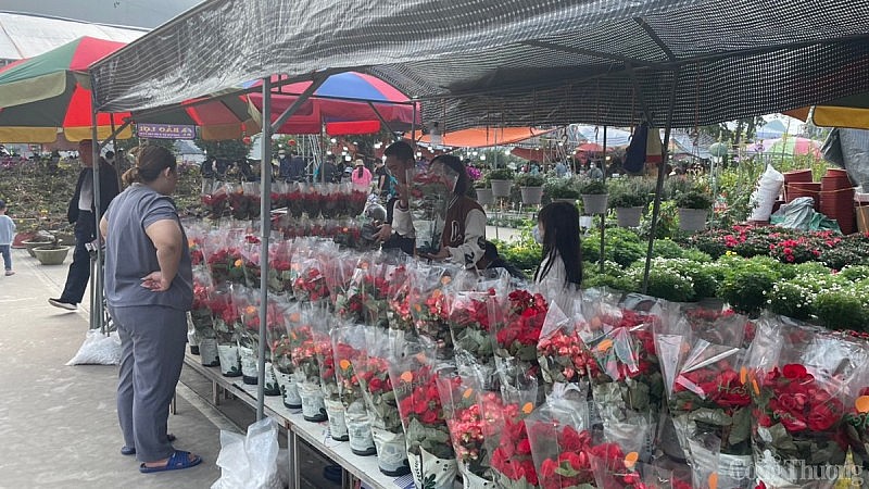 Chợ hoa xuân Hạ Long: Trăm người bán vạn người xem