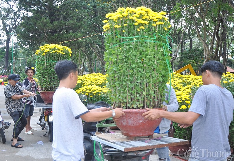 Sôi động chợ hoa Tết tại TP. Hồ Chí Minh