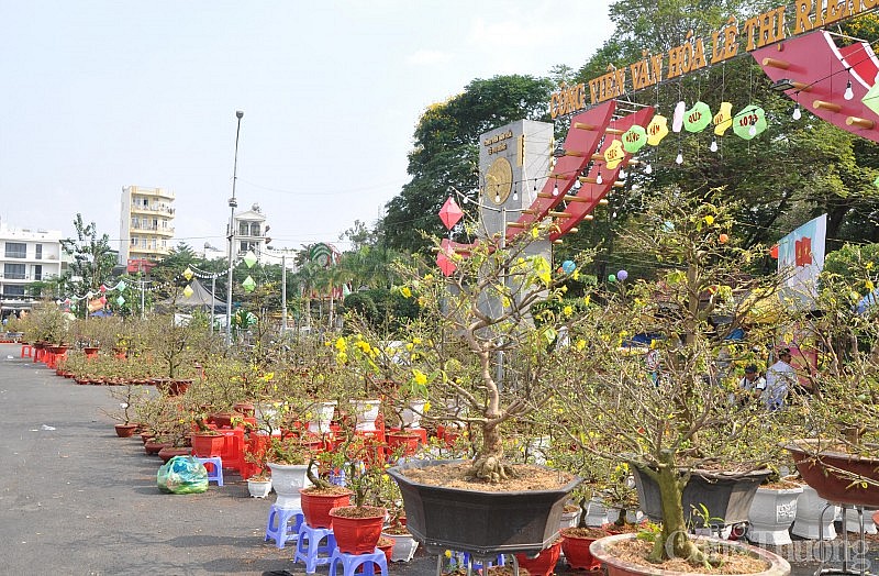 Sôi động chợ hoa Tết tại TP. Hồ Chí Minh