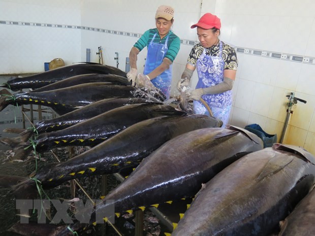 Trung Đông đang là khối thị trường xuất khẩu cá ngừ lớn thứ 4 của Việt Nam