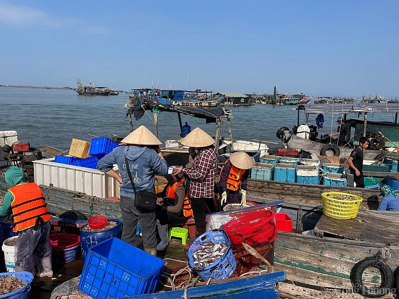Quảng Ninh: Tất bật bến cá Mũi Ngọc phiên biển cuối năm