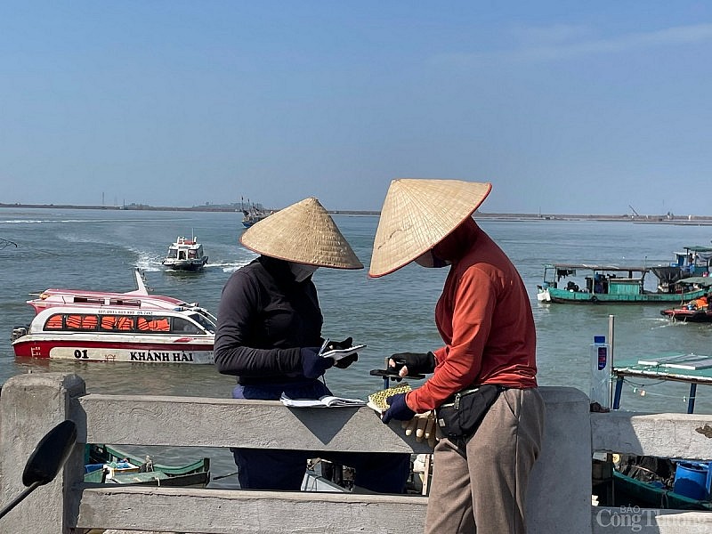 Quảng Ninh: Tất bật bến cá Mũi Ngọc phiên biển cuối năm