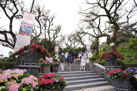 Chiêu đãi vô vàn trải nghiệm, Sun World Ba Na Hills hút khách du xuân