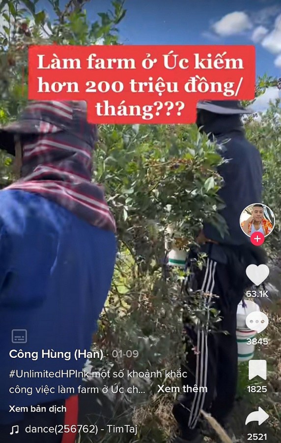 Chàng trai Việt kể chuyện làm nông trại ở Úc kiếm hơn 200 triệu đồng/ tháng