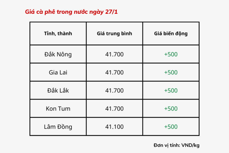 Giá cà phê hôm nay, 27/1: Giá cà phê trong nước tăng mạnh