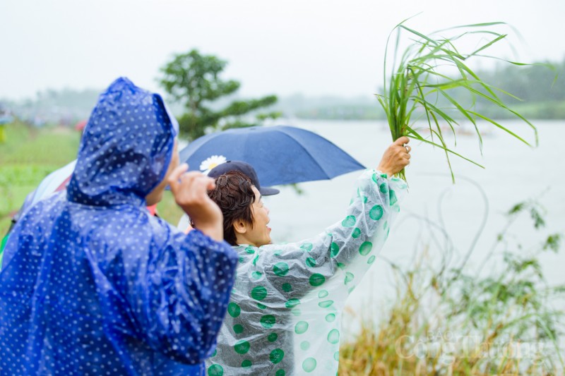 Quảng Nam: Sôi nổi lễ hội đua thuyền đầu xuân