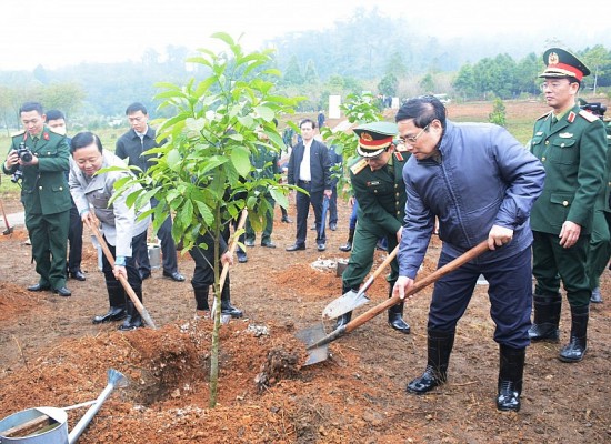 Bộ Tài nguyên và Môi trường phát động Tết trồng cây tại di tích Đá Chông