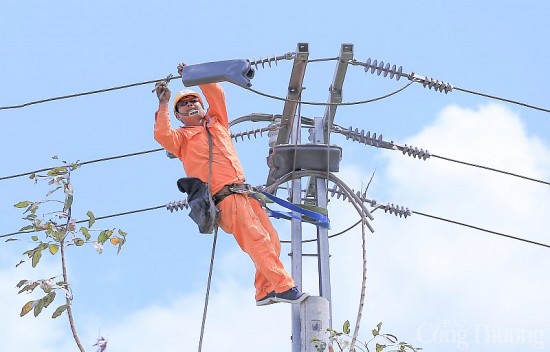 Điện lực miền Nam: Cung cấp điện an toàn, ổn định 21 tỉnh thành phía Nam trong dịp Tết