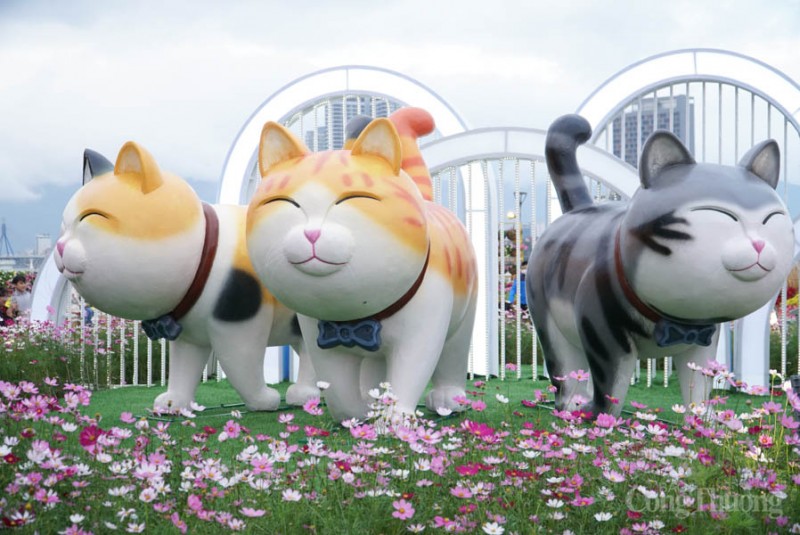 Linh vật mèo ở đường hoa Xuân Đà Nẵng sẽ được tặng cho các trường mầm non