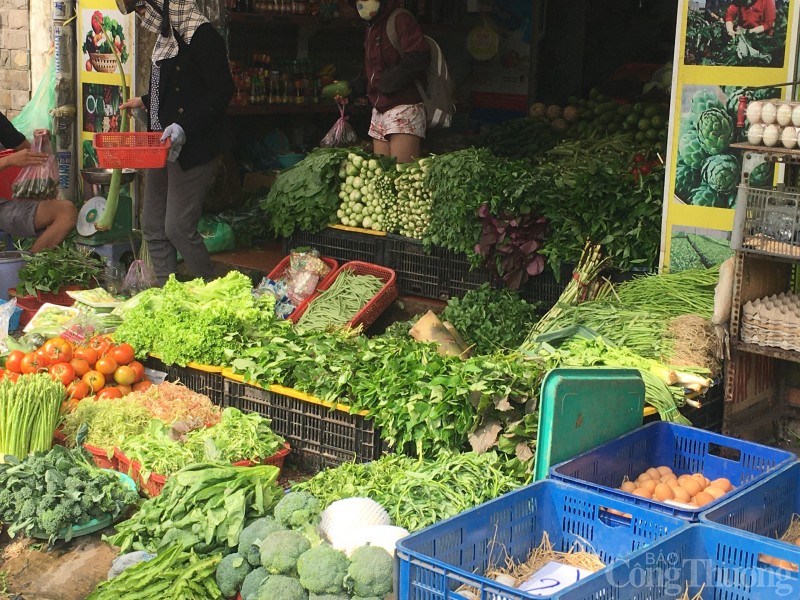 TP. Hồ Chí Minh: Nguồn cung giảm, giá rau xanh neo cao