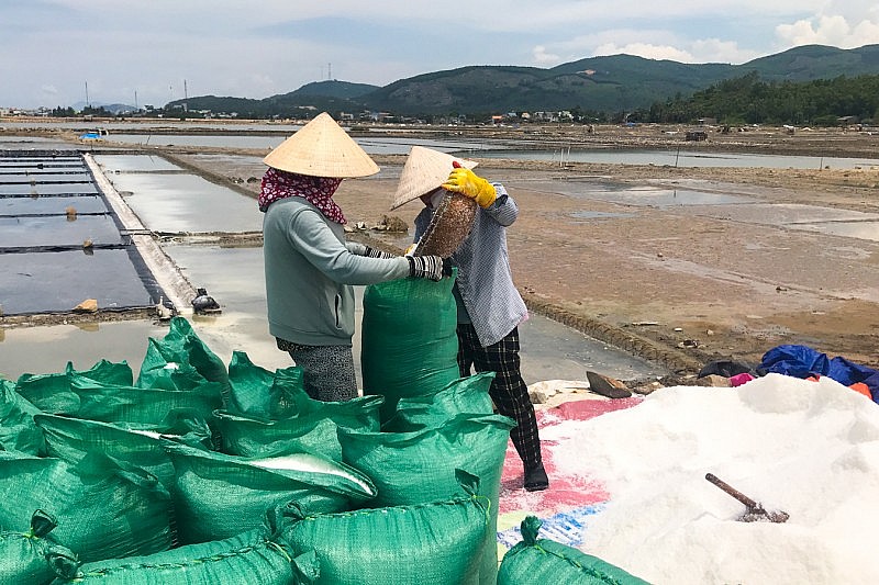Khả năng phát triển thương mại sản phẩm muối của Việt Nam là rất lớn