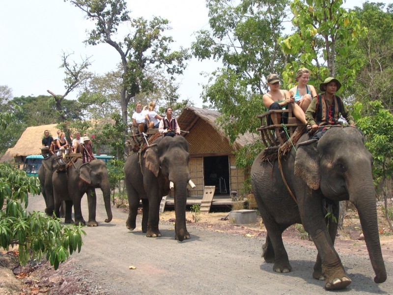 Đắk Lắk: Một trung tâm du lịch dừng kinh doanh dịch vụ cưỡi voi