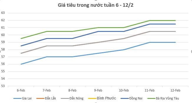 Giá tiêu hôm nay 12/2 và tổng kết tuần qua: Tăng mạnh 3.000 đồng/kg