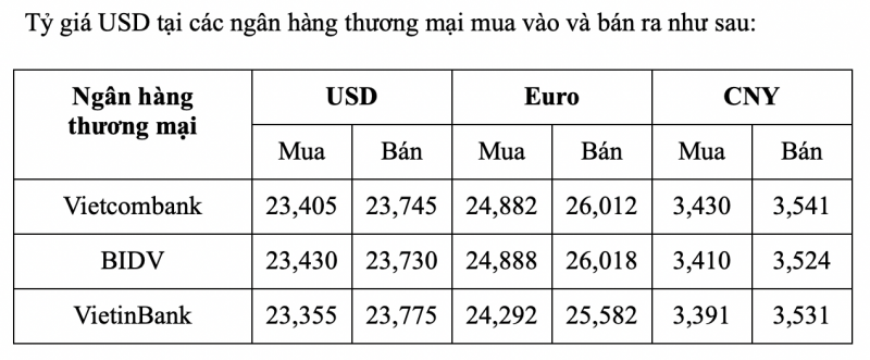 Tỷ giá USD hôm nay 13/2: Mong chờ sắc xanh trong tuần mới