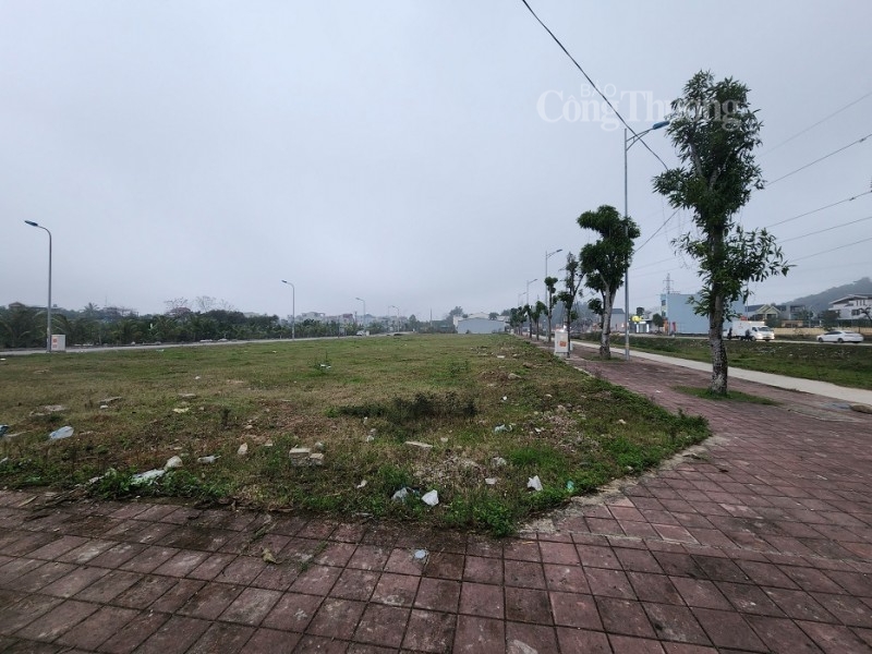 Thanh Hóa: Đề nghị hủy quyết định trúng đấu giá quyền sử dụng đất Khu dân cư Đông Tân