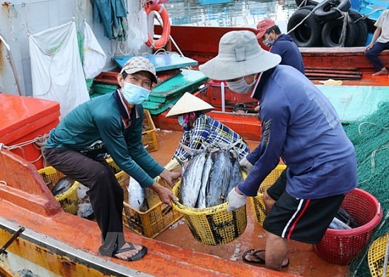 Ngày 10/10/2023, EC sang Việt Nam, kiểm tra gỡ 