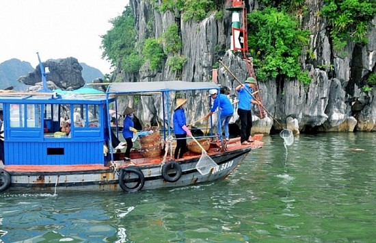 Giảm thiểu rác thải nhựa từ hoạt động du lịch