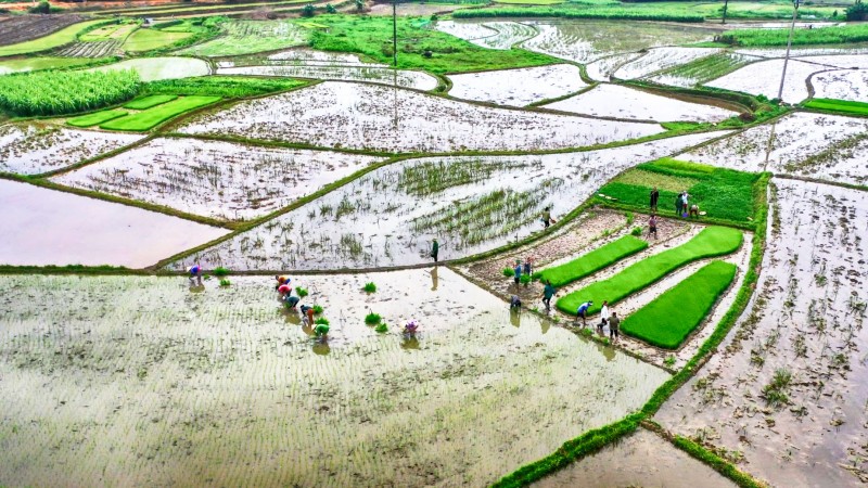 EVN đã xả 3,62 tỷ m3 nước phục vụ sản xuất nông nghiệp vụ Đông Xuân 2023
