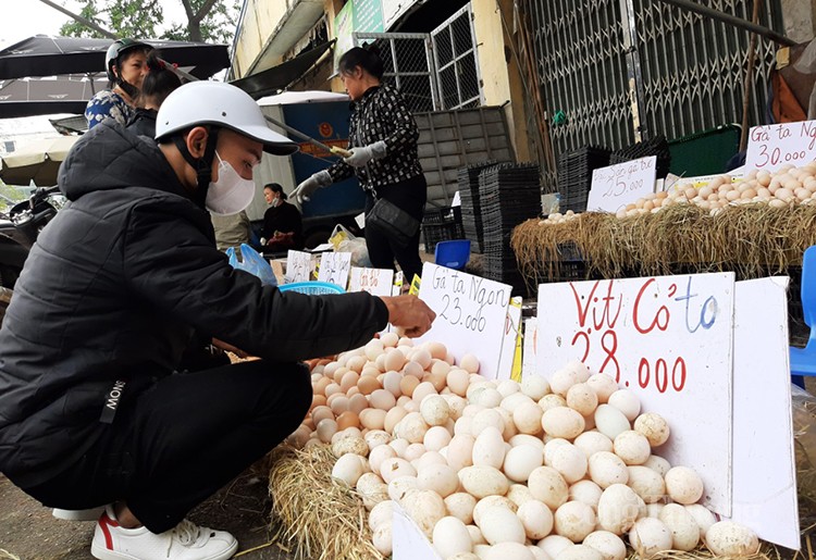 Chăng băng rôn "giải cứu" trứng gà: Nông sản Việt đừng lấy "đá ghè chân mình"