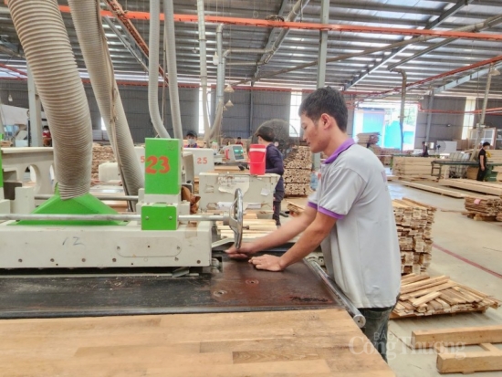 Tái sử dụng phế liệu trong chế biến gỗ: Giúp doanh nghiệp tăng lợi nhuận