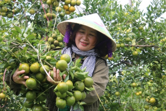 Đắk Nông: Tăng tỷ lệ hàng Việt Nam trong kênh phân phối