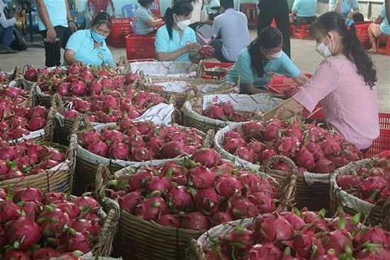 Thúc đẩy hợp tác nông nghiệp, thủy sản giữa Việt Nam với bang Kerala của Ấn Độ