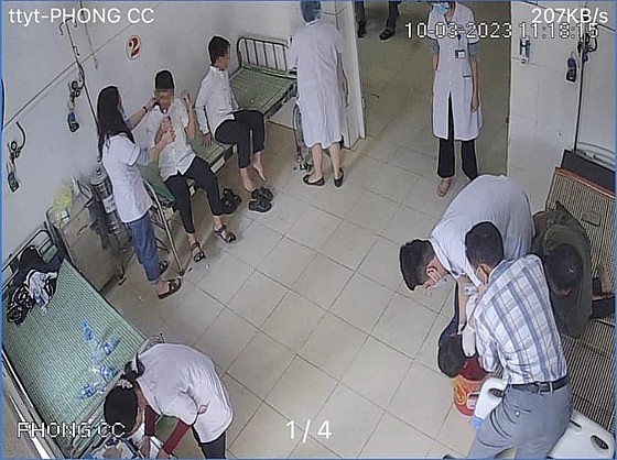 Ăn hạt quả ngô đồng, 11 học sinh lớp 6 ở Hà Tĩnh bị ngộ độc