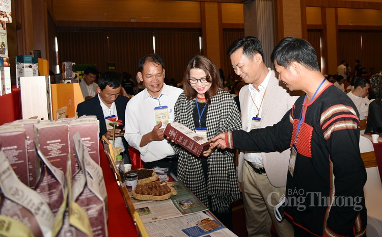 Hội nghị kết nối giao thương quốc tế tại Lễ hội cà phê: Nâng tầm sản phẩm cà phê Việt