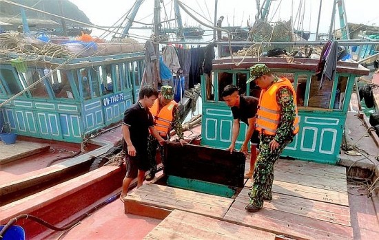 Tỉnh Quảng Ninh: Bắt 6 tàu khai thác thủy sản trái phép
