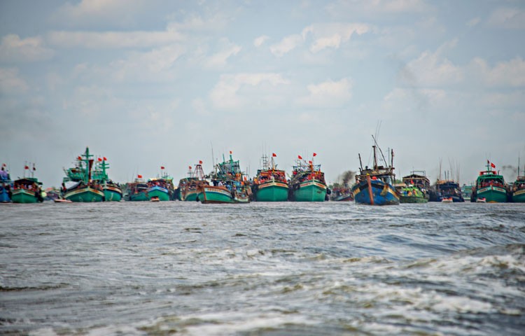 Cà Mau: Xử lý nghiêm 1 tàu cá mang theo… 10 thiết bị giám sát hành trình