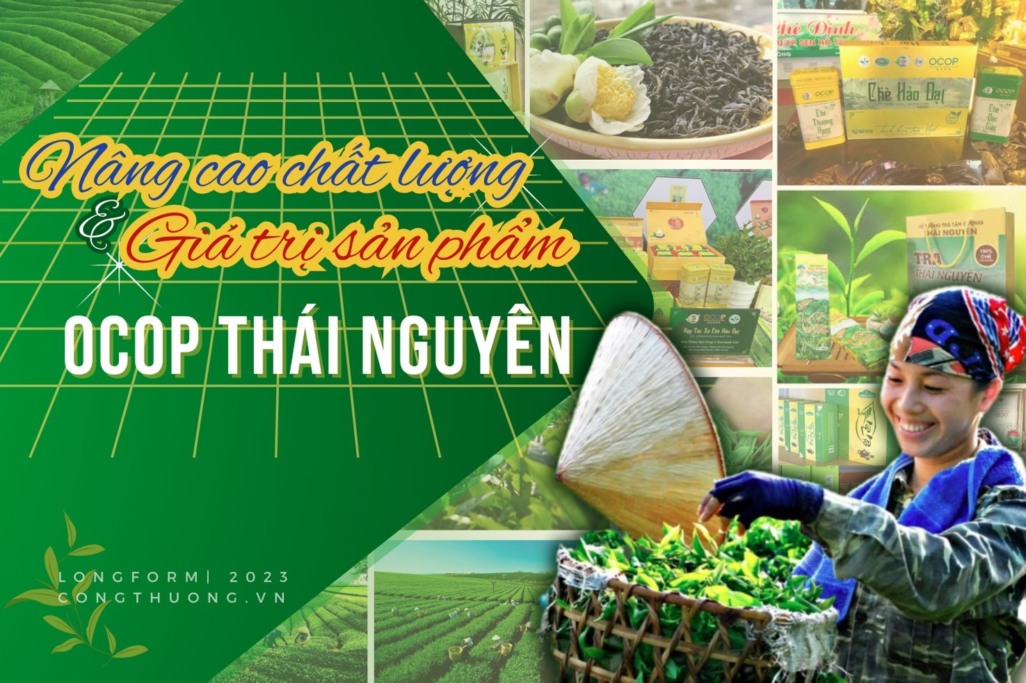 Longform | Nâng cao chất lượng và giá trị sản phẩm OCOP Thái Nguyên