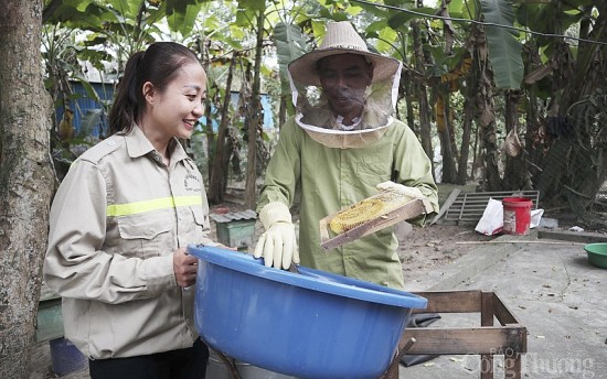 Nghệ An: Hướng đi mới từ nghề nuôi ong lấy mật, mang lại hiệu quả kinh tế cao