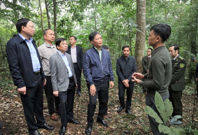 Trưởng Ban Kinh tế Trung ương Trần Tuấn Anh làm việc với Quảng Ninh về bảo vệ, phát triển rừng