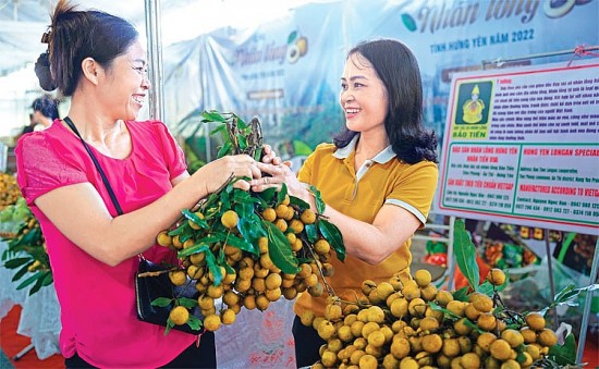 Xúc tiến thương mại vùng Đồng bằng sông Hồng: Đồng bộ các nguồn lực